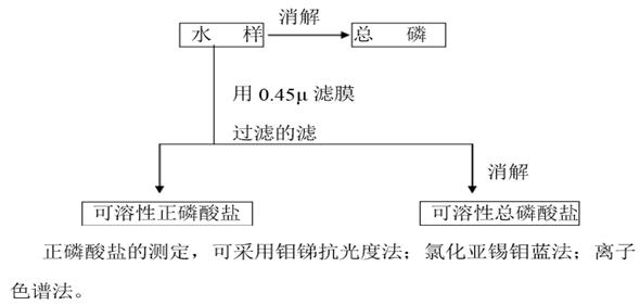 总磷、正磷和偏磷的关系